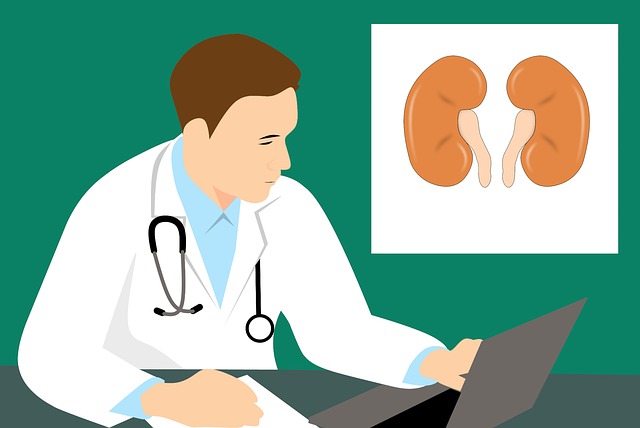 What does Kidney Failure mean?