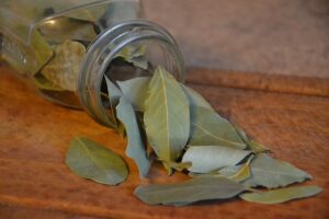 6 Important Health Benefits of Bay leaves